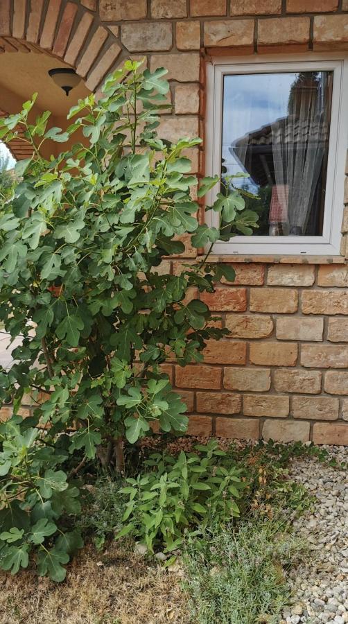 Mediterrania Apartment Kestel Dış mekan fotoğraf