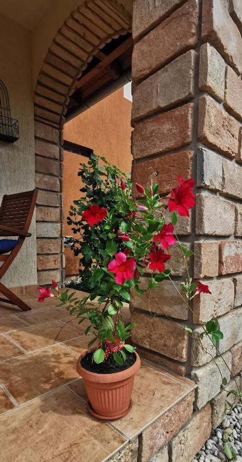 Mediterrania Apartment Kestel Dış mekan fotoğraf